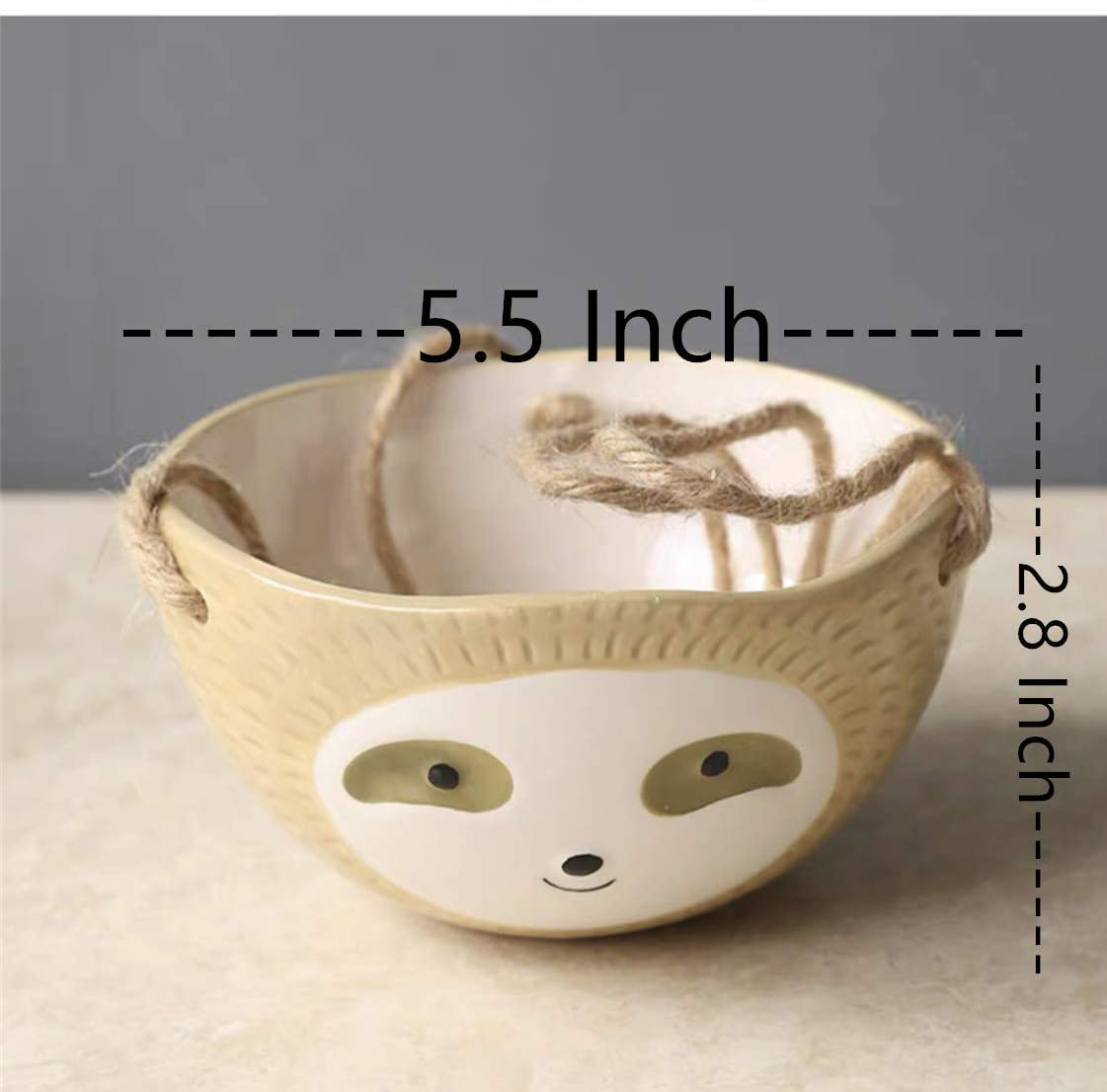 Cute Sloth Face Drawing Small Succulent Pot Oval Shape Hanging Sloth Planter