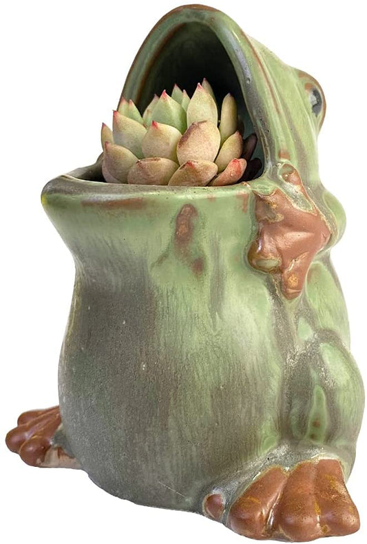 Vintage Frog Planter Open Mouth Ceramic Succulent Cactus Flower Pots