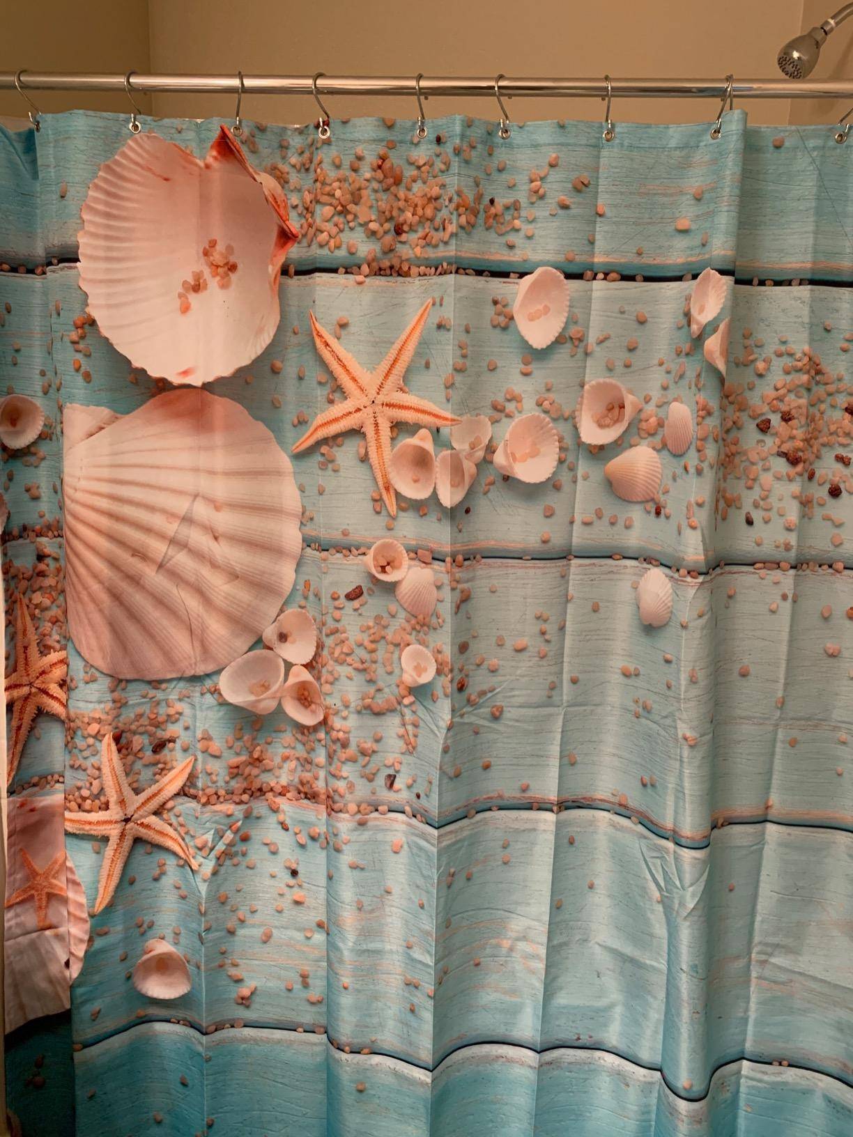 Blue Deck Barn Door Nautical Marine Seashell Shower Curtain