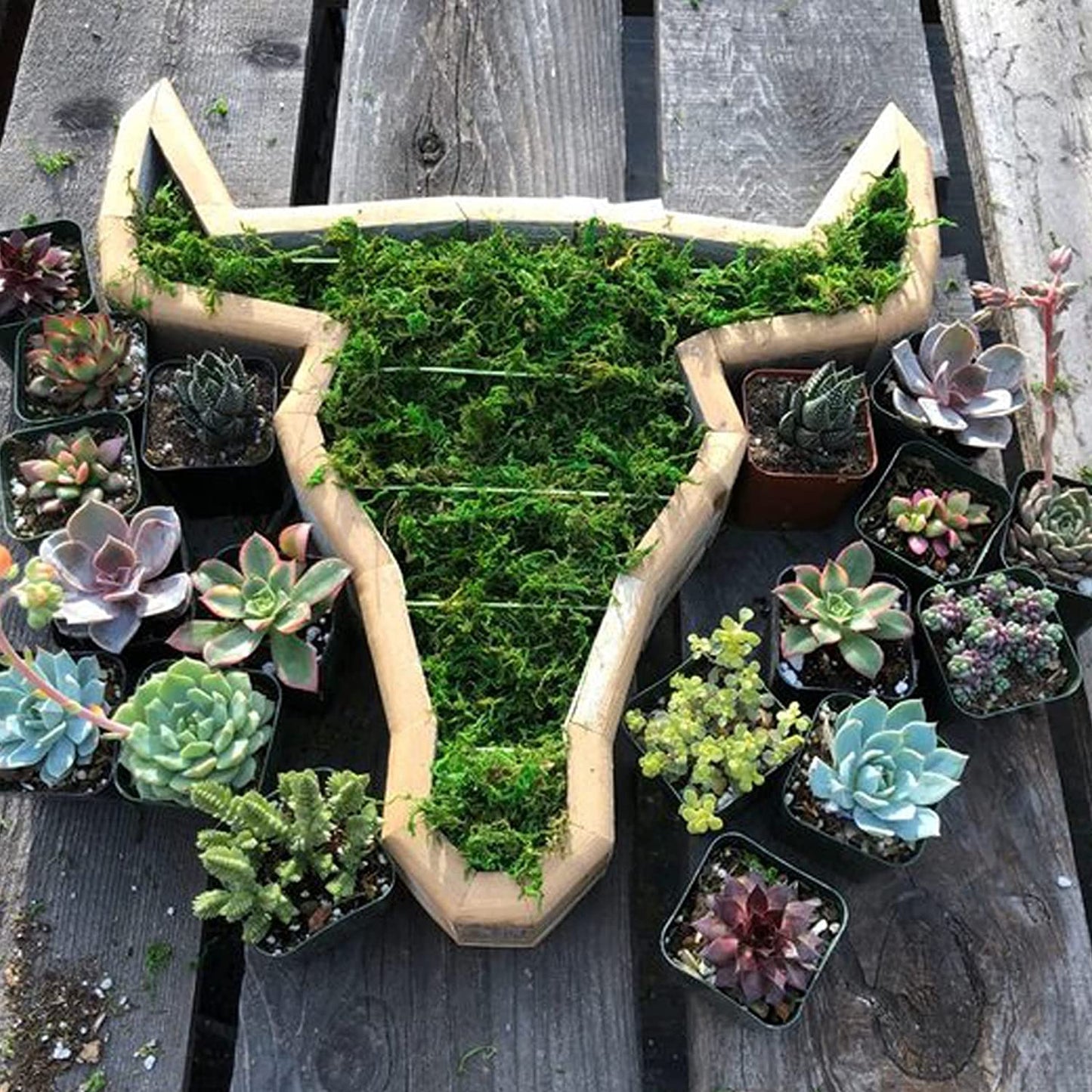 Animal Shaped Garden Arrangement Wooden Box Succulent Planter