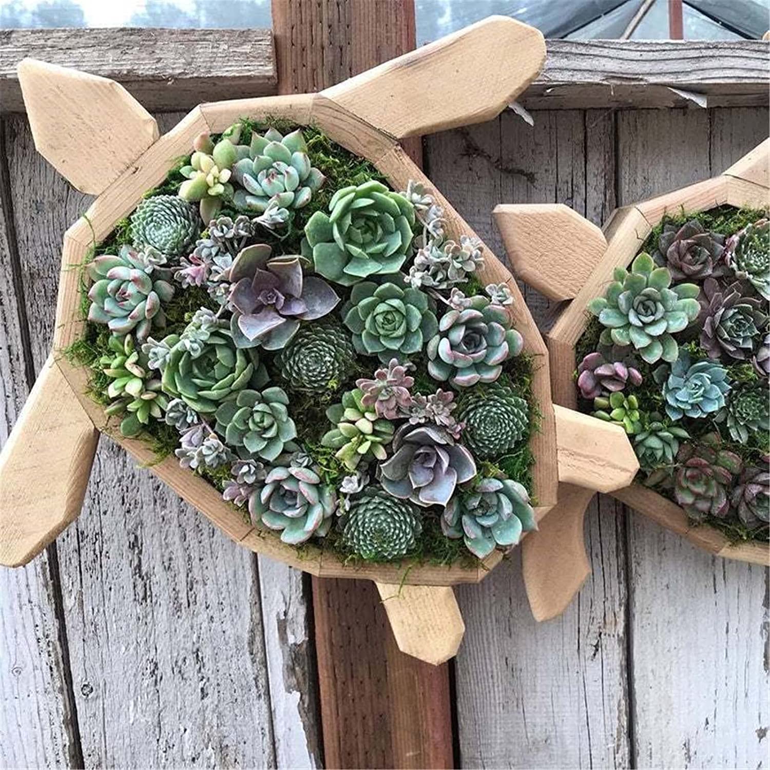 succulent hanging box Vertical Succulent Planter, 6 Type of Wooden Arrangement – HeartCasa