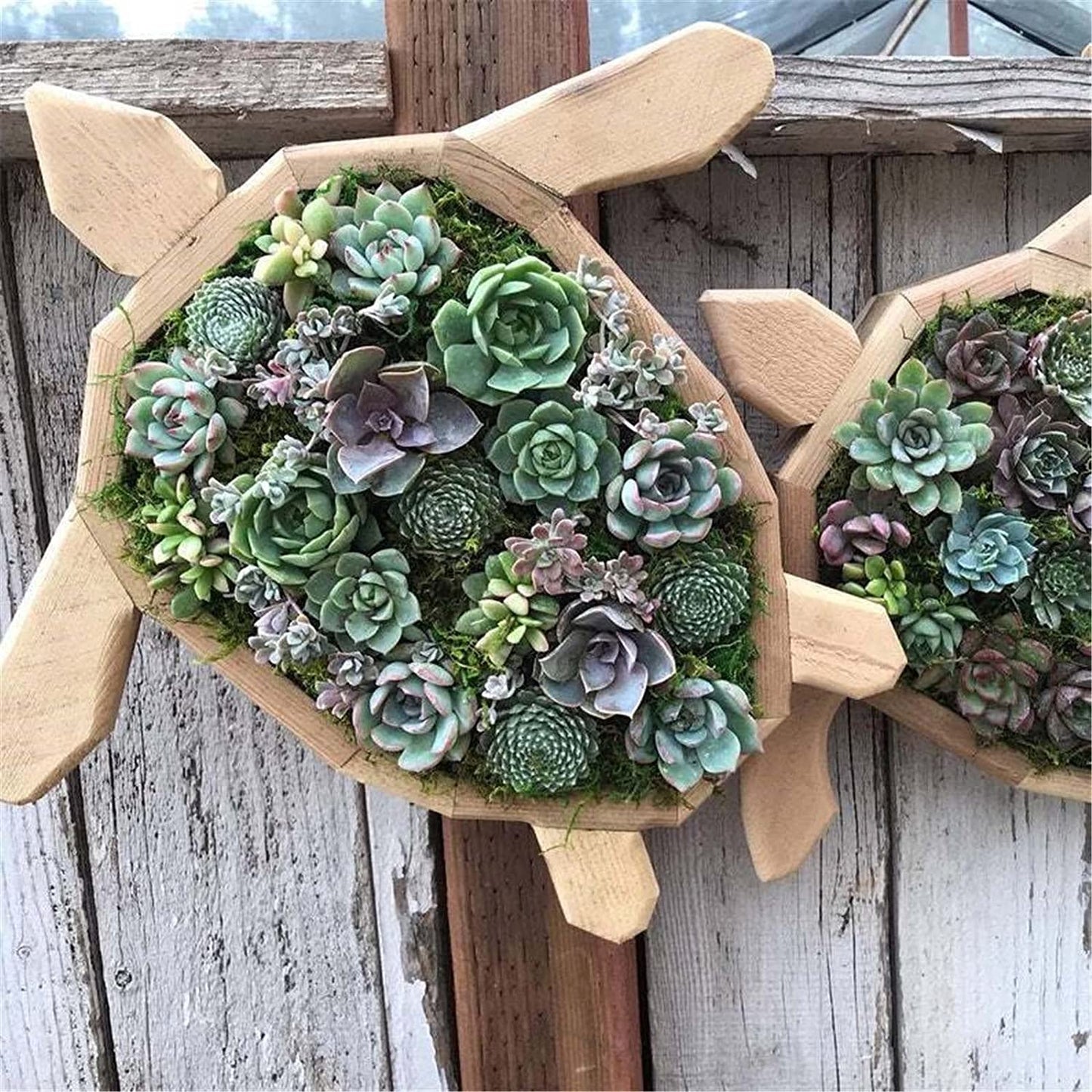 Animal Shaped Garden Arrangement Wooden Box Succulent Planter
