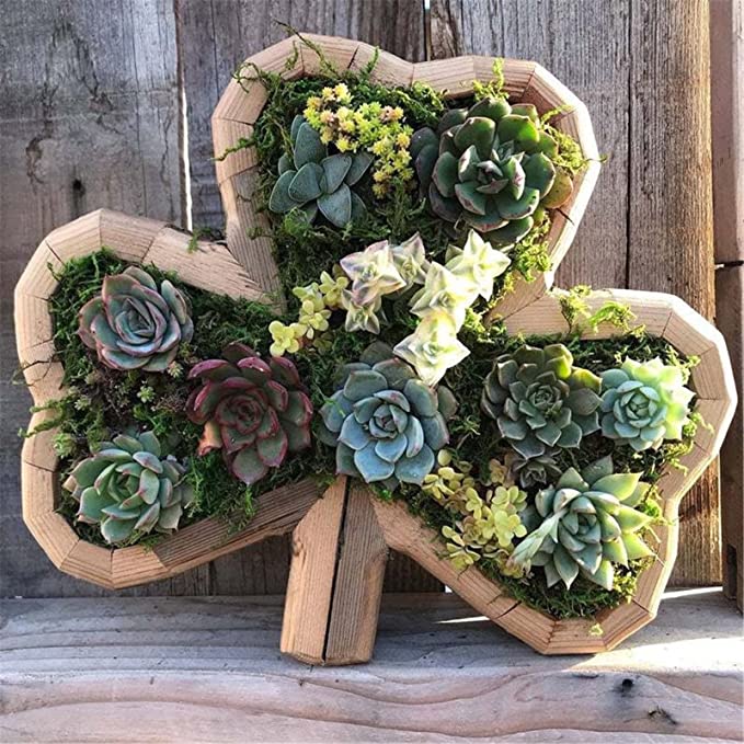 jardinière pot de fleur extérieur Arrangement de boîte en bois pour succulente verticale