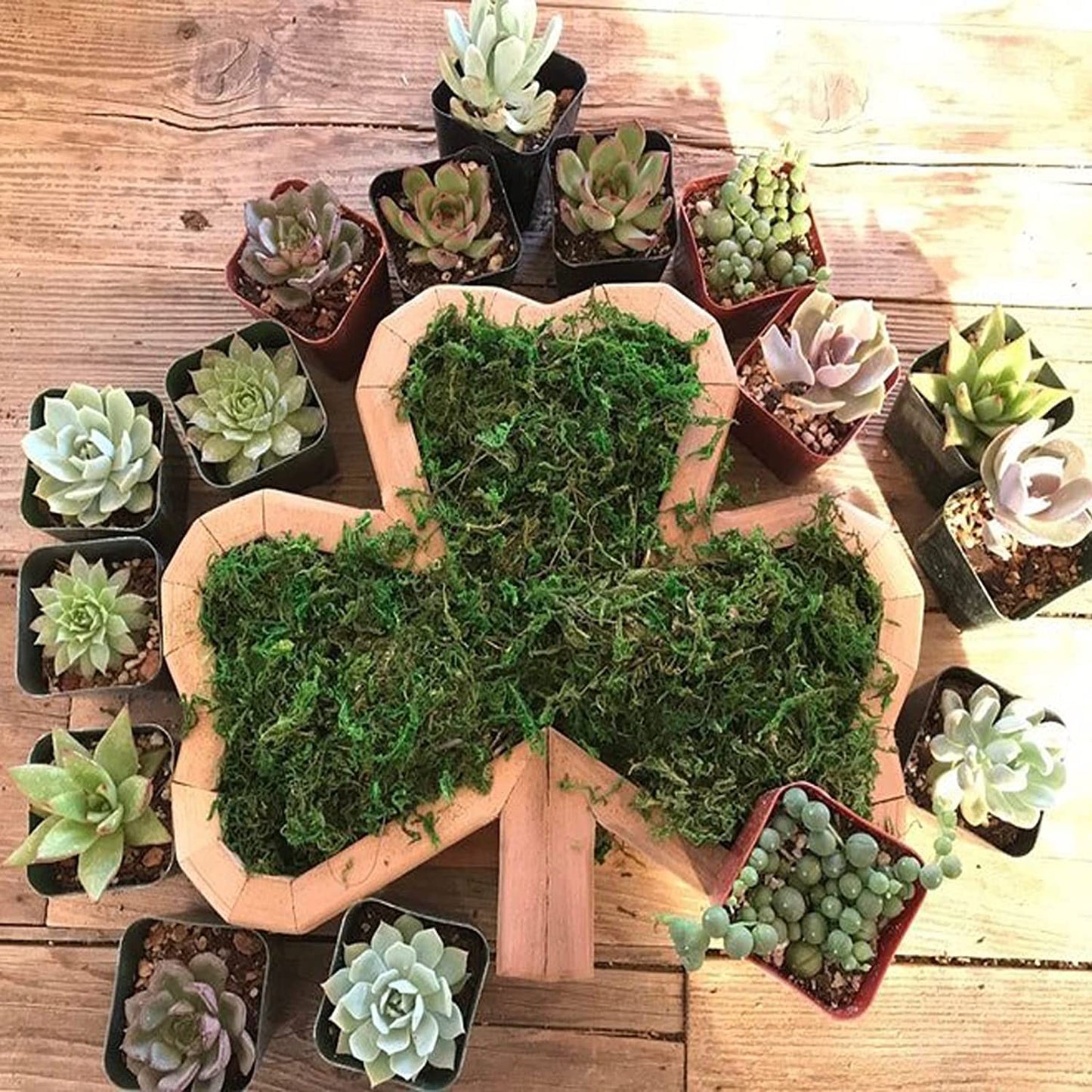 Animal Shaped Garden Arrangement Wooden Box Succulent Planter