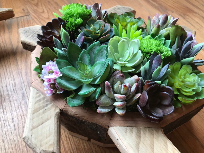 jardinière pot de fleur extérieur Arrangement de boîte en bois pour succulente verticale