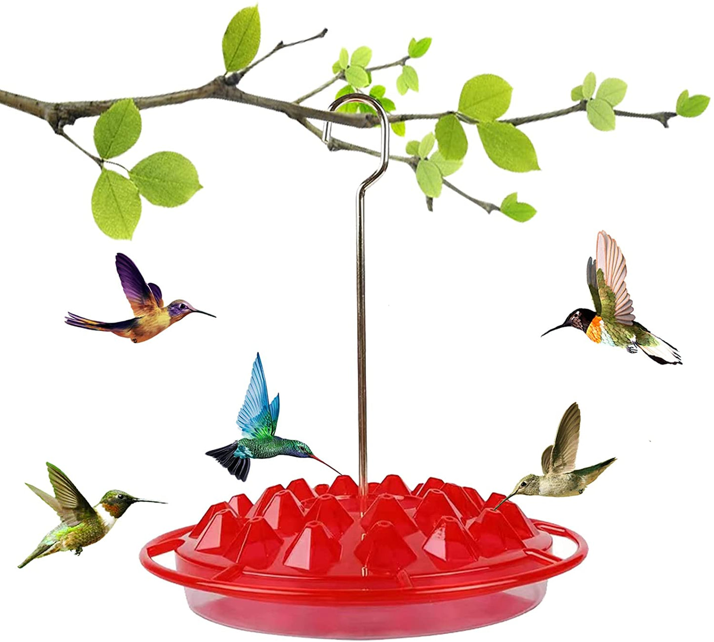 25 Feeding Ports Red Aspects Hummingbird Feeder