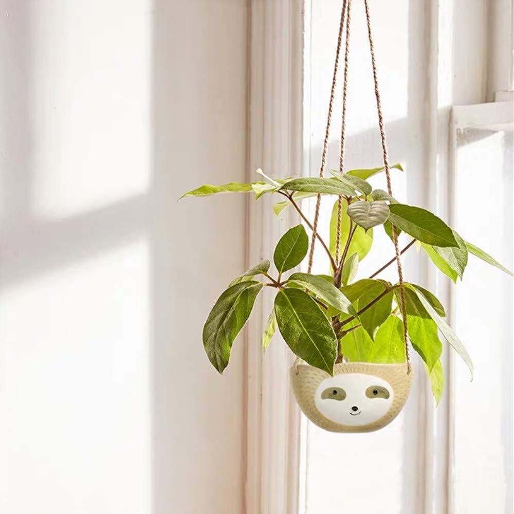 Cute Sloth Face Drawing Small Succulent Pot Oval Shape Hanging Sloth Planter