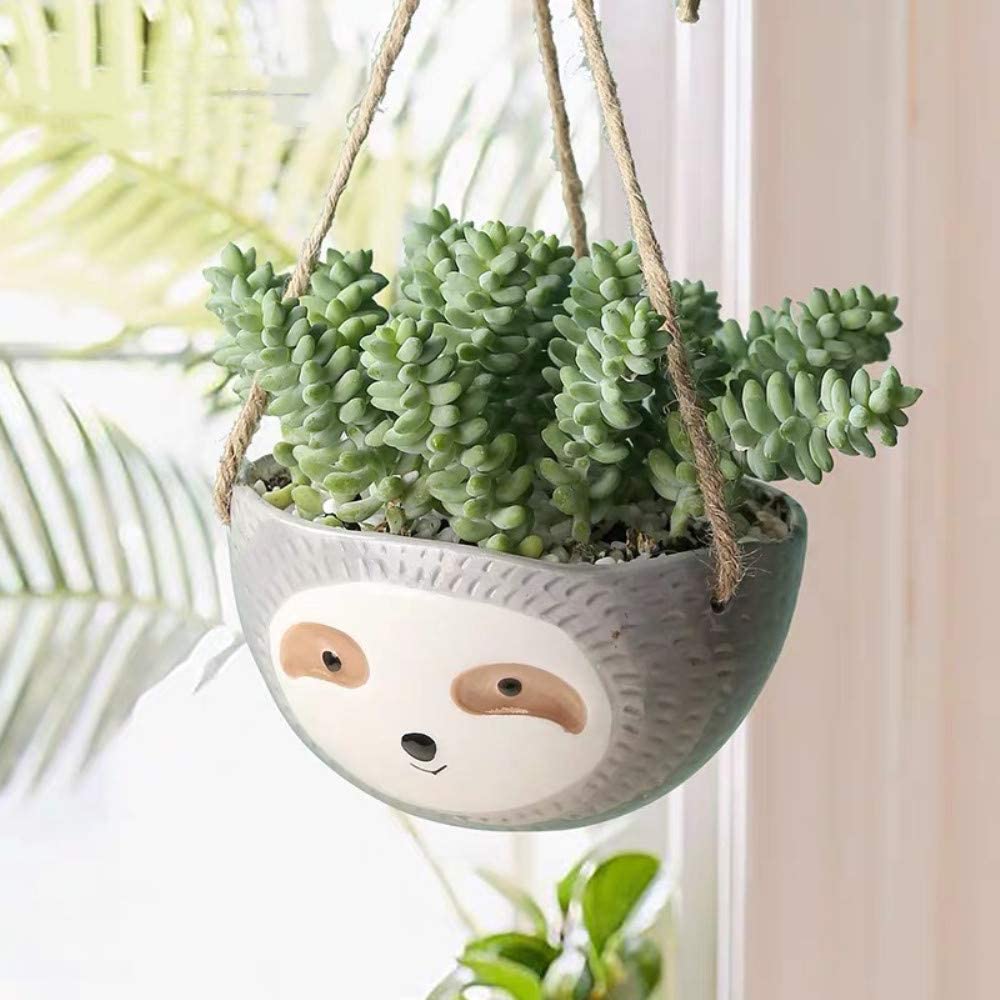 Hanging Sloth Face Succulent Planter, Grey/Yellow Colors, Cute Animal ...