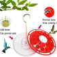 25 Feeding Ports Red Aspects Hummingbird Feeder