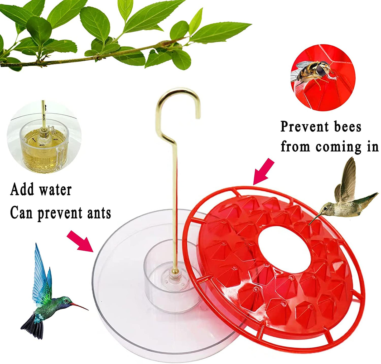 25 Feeding Ports Red Aspects Hummingbird Feeder