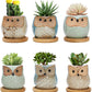 6 Pack Owl Planter Cute Cartoon Different Birds Ceramic Mini Small Succulent Cactus Fllower Pot