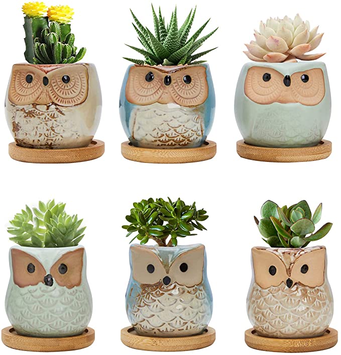6 Pack Owl Planter Cute Cartoon Different Birds Ceramic Mini Small Succulent Cactus Fllower Pot