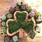 Animal Shaped Garden Arrangement Wooden Box Succulent Planter
