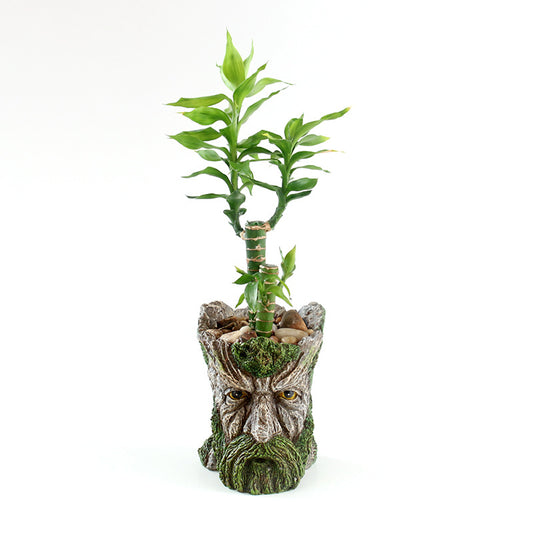 Old Man Trunk Tree Face Platner Flower Vase Mini Cactus Succulent Pots