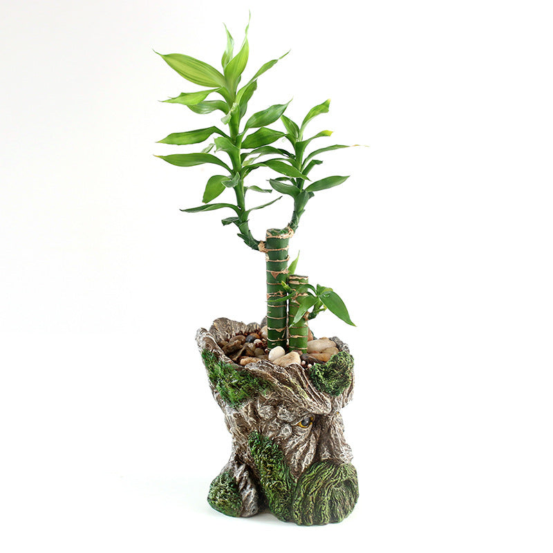 Old Man Trunk Tree Face Platner Flower Vase Mini Cactus Succulent Pots