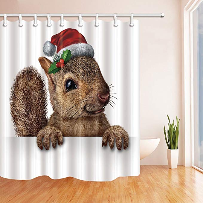 Animal with Santa Hat Christmas Squirrel Shower Curtain