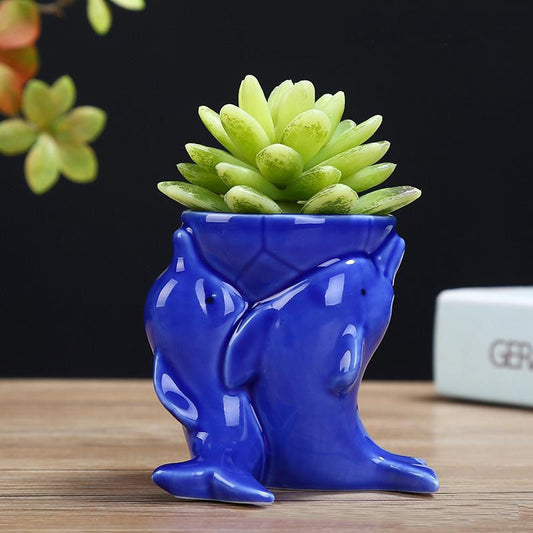 Dolphin Small Succulent Planter Oval Indoor Cactus Plant Pot