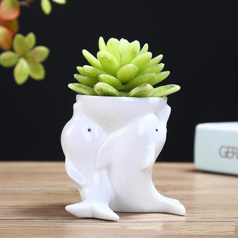 Dolphin Small Succulent Planter Oval Indoor Cactus Plant Pot