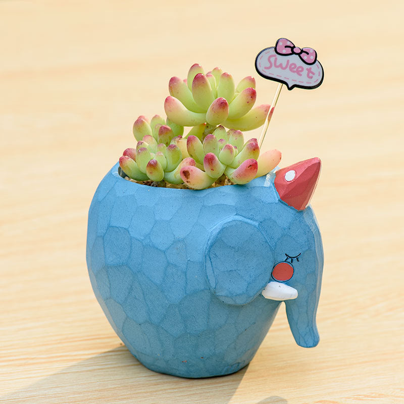 Blue Little Elephant Succulent Planter Cute Cartoon Style Animal Small Cactus Pot