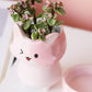 Wink Pink Cat Succulent Pots with Drainage Trays Cute Cartoon Pet Indoor Small Plant Cactus Planter