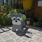 Schnauzer Succulent Dog Planter Pot