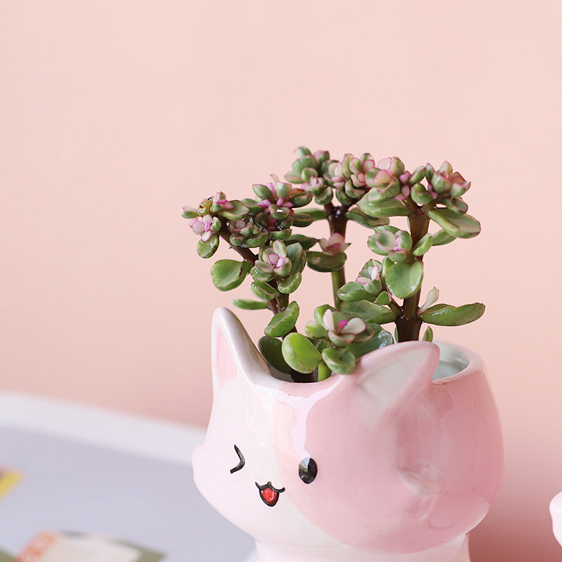 Wink Pink Cat Succulent Pots with Drainage Trays Cute Cartoon Pet Indoor Small Plant Cactus Planter