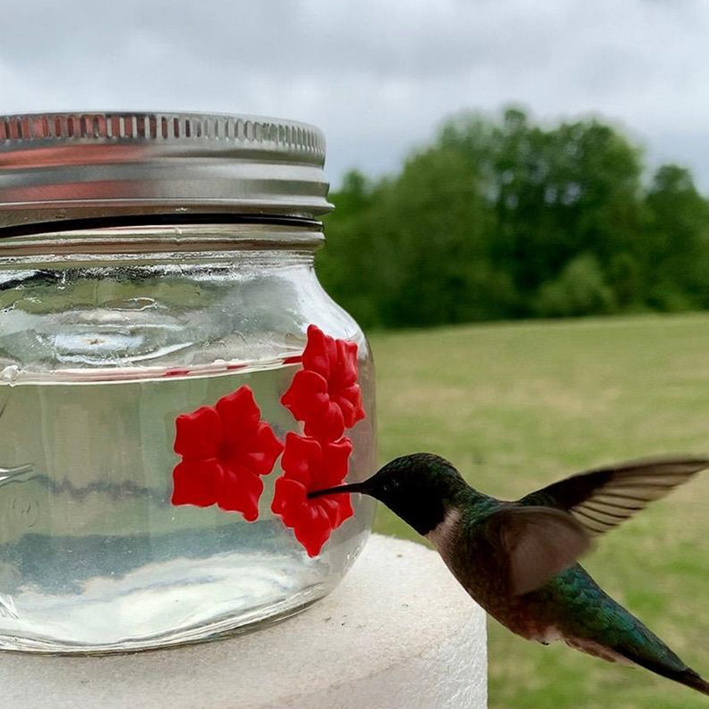 Mason Jar Hummingbird Feeder