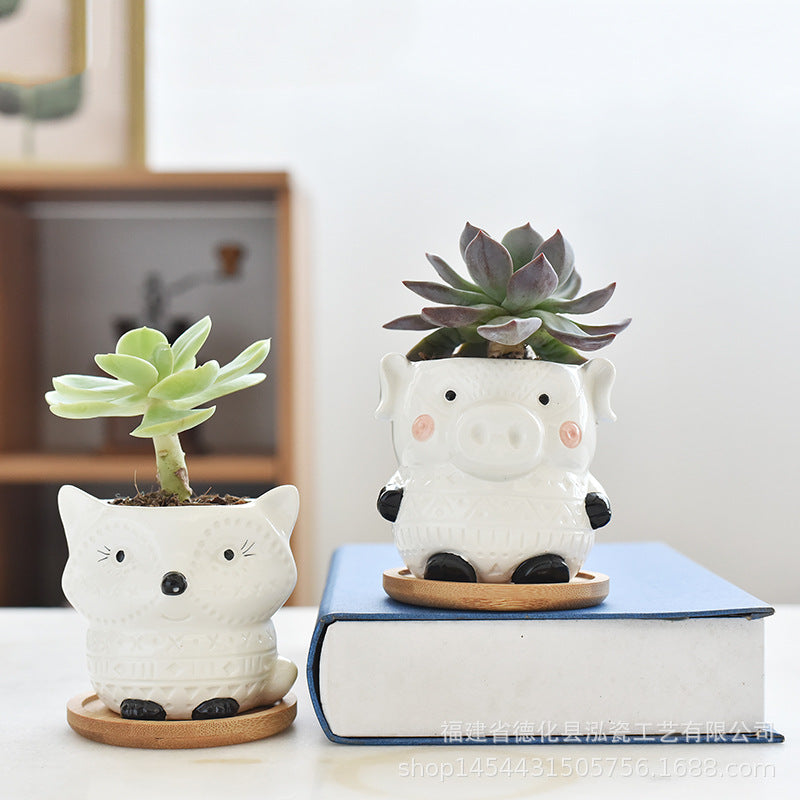 4 Packs Black White Animal Small Succulent Pots Rectangular Shape with Drainage and Tray
