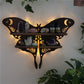 Moth Butterfly Celestial Crystal Shelf with Lamp