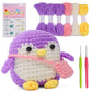 Cartoon Multi Colors Penguin Crochet Kit for Beginners