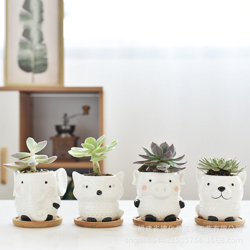 4 Packs Black White Animal Small Succulent Pots Rectangular Shape with Drainage and Tray