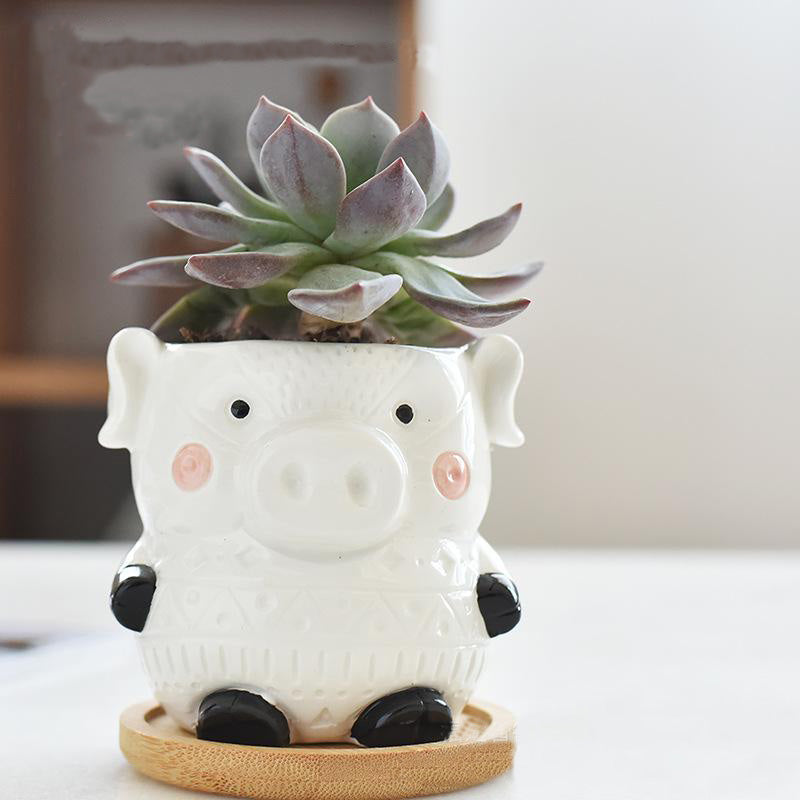 4 Pack Black White Animal Face Small Succulent Planter Pots