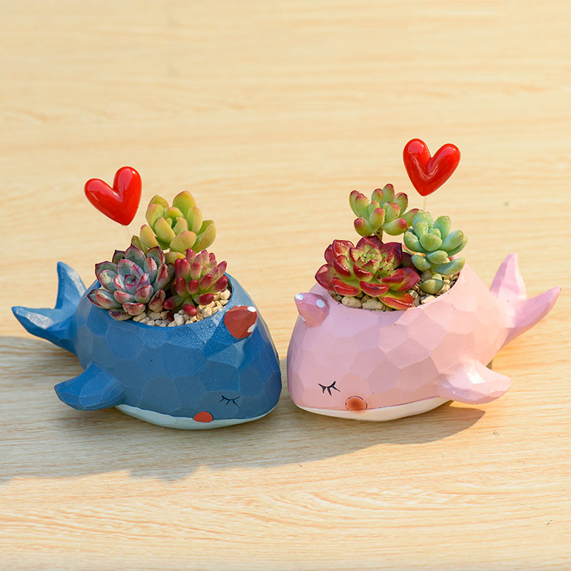 2 Pieces of Narwhal Planter Romantic Couple Theme Blue Pink Small Succulent Pot
