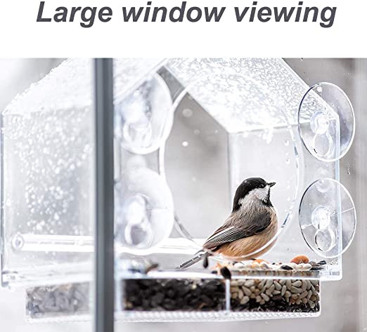Mangeoire à oiseaux à fenêtre en acrylique à ventouse anti-écureuil