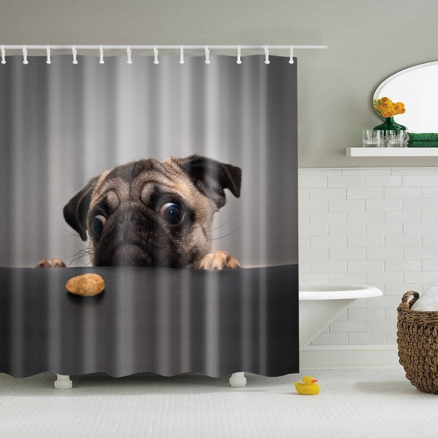 Staring at Cookie Grey Tan Puppy Cute Pug Shower Curtain